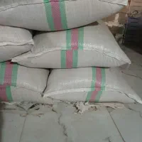 شلتوک بذری درجه یک