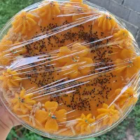 حلوا|خوردنی و آشامیدنی|شیرود, |دیوار