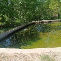 زمین کشاورزی