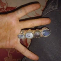 ۴ عدد شجر قاعن نیست در جهان