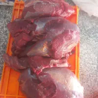 گوشت یخ زده فروش زیر قیمت مناقصه