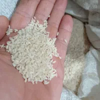 فروش برنج چمپا‌ . باغ‌ملک