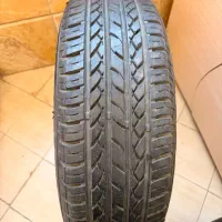 لاستیک شاهین