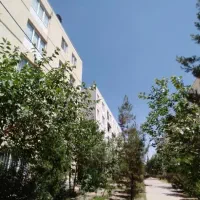 59متری-تک-خواب-کیسون-پرند-تیک-آبی-کلیدنخورده