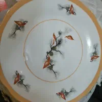 بشقاب پلو خوری نو نو