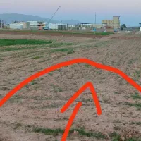 ابباریکی