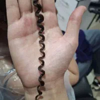 فر دائم 50درصد تخفیف ( زمان محدود)