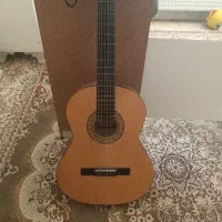 گیتار c70 با کاور ببرید