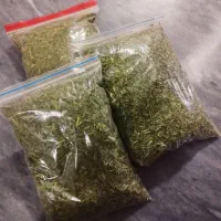 سبزی قورمه سبزی