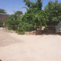 خانه-قدیمی-560متری-با-امکانات-کامل-و-حدود-40-درخت