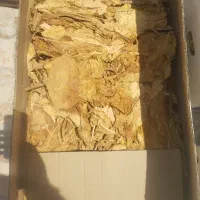 محول درجه یک
