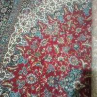 فرش|فرش|شیراز, جوادیه|دیوار