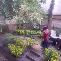 سمپاشی ،سوسک وساس