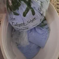 دکلره kalyoy