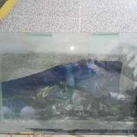 اکواریوم‌بزرگ