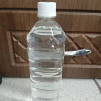 گلاب خانگی