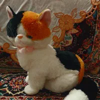 عروسک نو