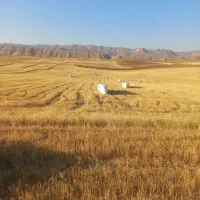 خرید و فروش کاه