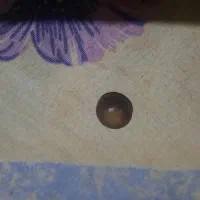 مهره قدیمی