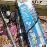 المنت  اکواریوم