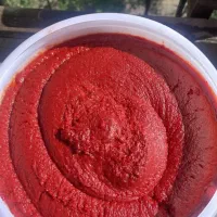 رب گوجه‌فرنگی خانگی کاملا ارگانیک