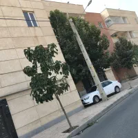 واحد هشتادمتری دوخواب