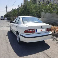 سمند سفید