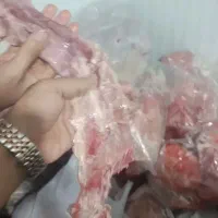غذای سگ
