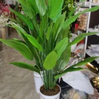 درختچه پرنده بهشتی مصنوعی
