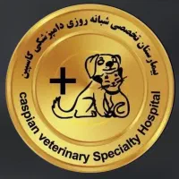 استخدام پیک موتوری