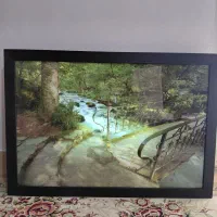 تابلو چراغ دار زیبا درحدنو