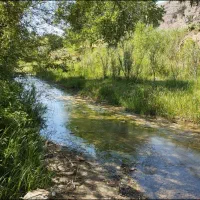 فروش-باغ