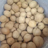 گردو درجه ۱ ممتاز وارداتی