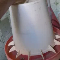 دان خوری آب خوری پرندگان