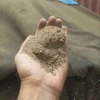 کاه نیشکر مشهد