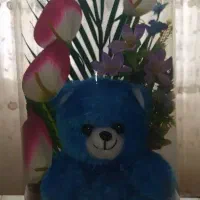 باکس گل و عروسک