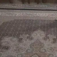 فرش|فرش|شاهینشهر, شهرک ردانی پور|دیوار