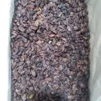 کشمش با تنوع بالا
