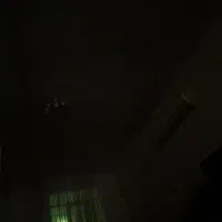 هم خونه