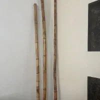 چوب بامبو