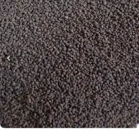 چای کله مورچه قیمت مناسب واقتصادی