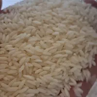 برنج عمده سوناماسوری میخوای تماس بگیر .