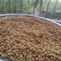 توت خشک .