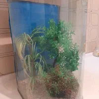 آکواریوم استوانه ای به بلندای۴۶ و عرض۳۰