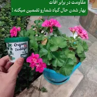 قرص کود گل و گیاه مناسب برای انواع گل و گیاه|گل و گیاه طبیعی|رشت, بلوار گیلان|دیوار
