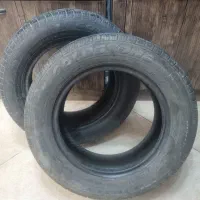 2 حلقه لاستیک ۱۴ گلدستون ۱۸۵