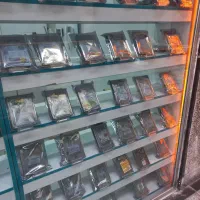 تولید و پخش دوربین  با یک میلیارد بیمه سرق