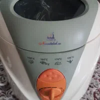 مینی سرخ کن