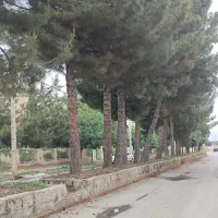 زمین ۳۸۰ متر  در محسن آباد