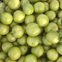 آلوچه باغی